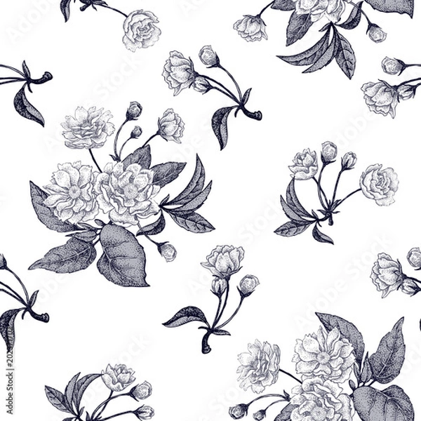 Obraz Seamless background with flower Chinese plum.