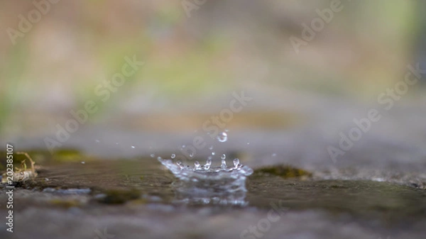 Obraz A splash of water hitting the ground