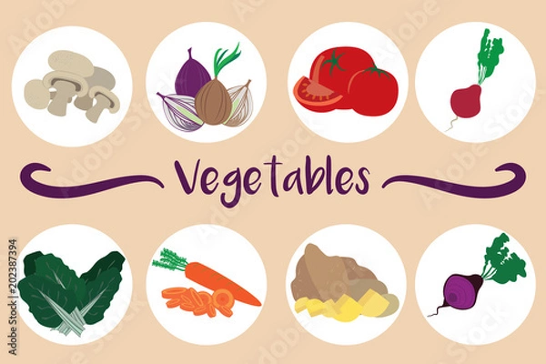 Obraz Colorful set of eight vegetable icons. Vector illustration.