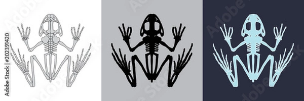 Obraz Frog icon set. Vector illustration.