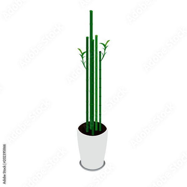 Obraz Bamboo in flowerpot. Vector