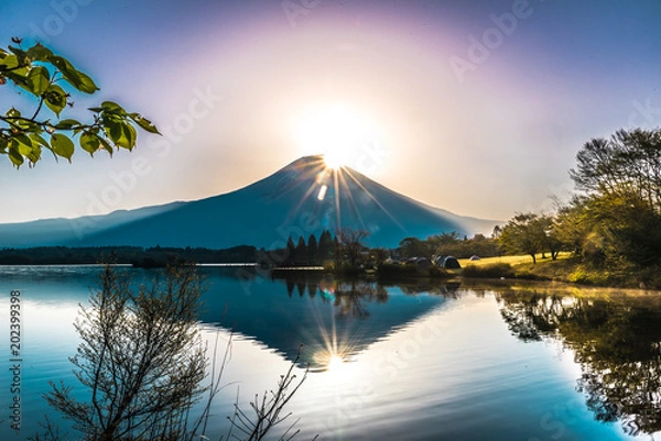 Obraz  Diamond Fuji tanuki-ko