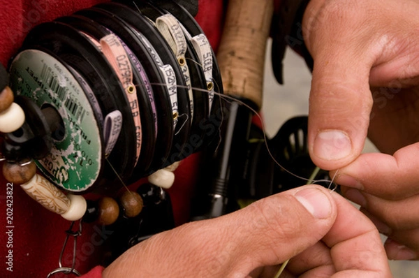 Obraz Tying a Fly Fishing Knot - Close Up on Hands