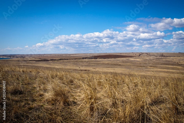 Fototapeta steppe landscape. early spring