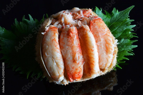 Obraz 高級和食蒸しガニの甲羅詰め