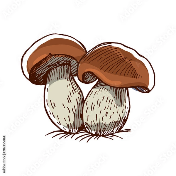 Obraz Cep Color Sketch