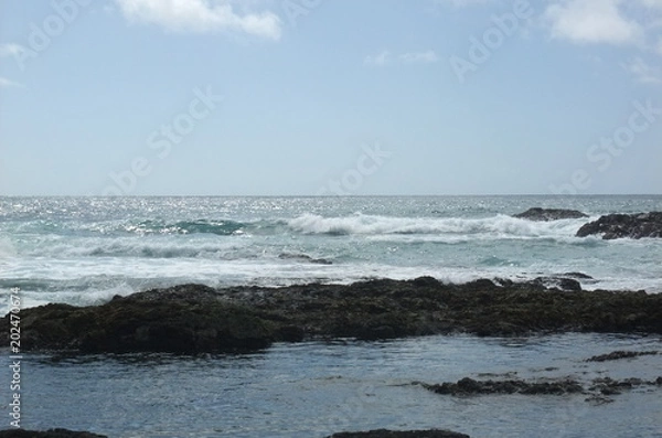 Fototapeta 屋久島