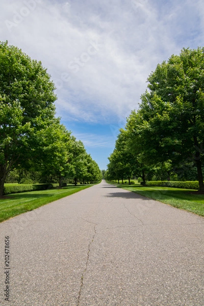 Obraz Long Road Portrait