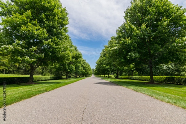 Obraz Long Road Landscape