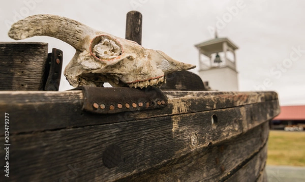 Obraz Skull on Boat