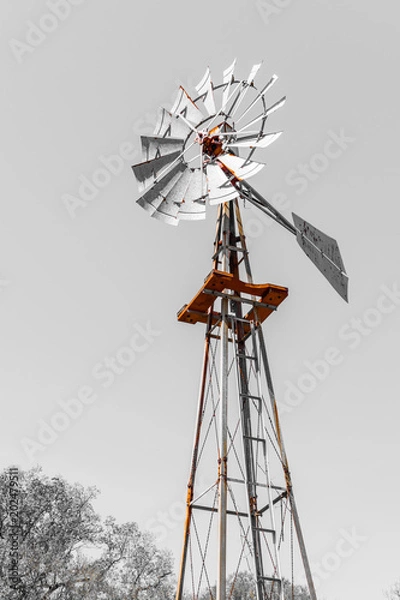 Obraz Windmill