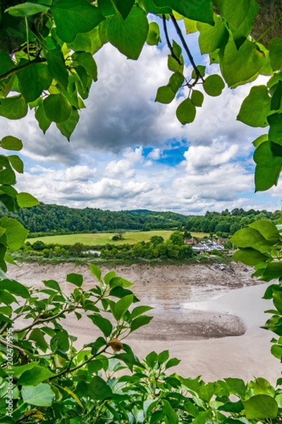 Obraz Ivy Framed Window