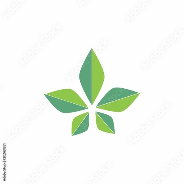 Obraz elegant leaf logo design
