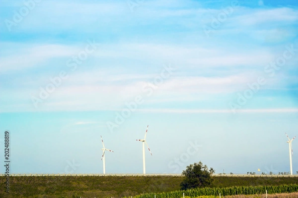 Obraz Summer landscape with modern windmills in field
