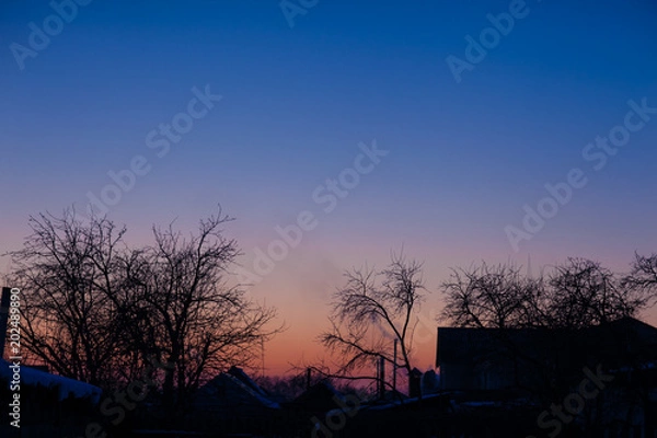 Obraz Pizza. View from above