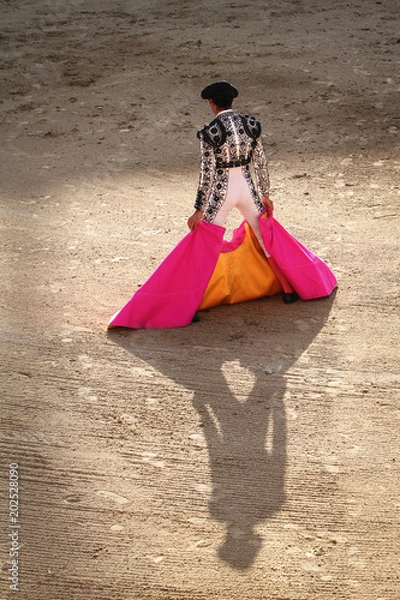 Fototapeta bullfighter