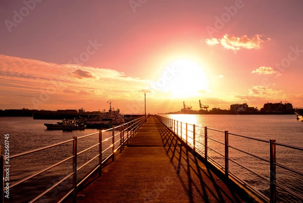 Fototapeta 港の夕日