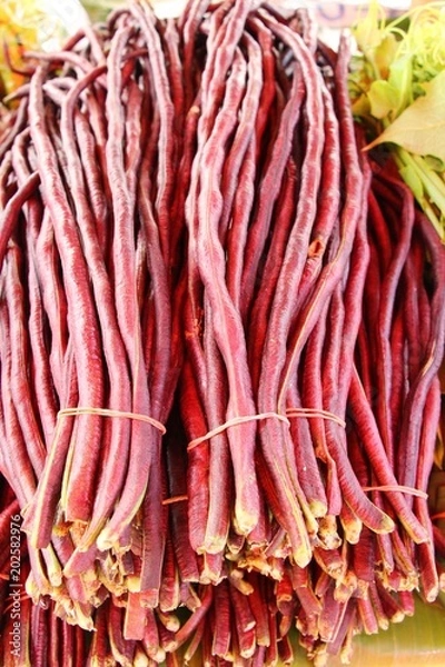 Fototapeta Long bean for cooking in the market