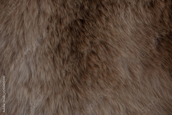 Fototapeta brown fur background texture