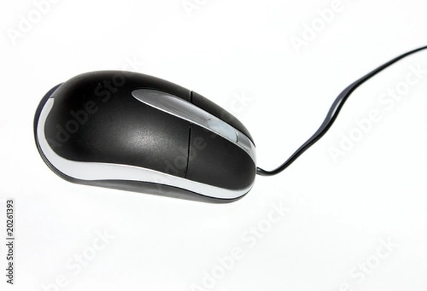 Obraz Mouse
