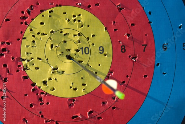Obraz Used archery target with arrow in it