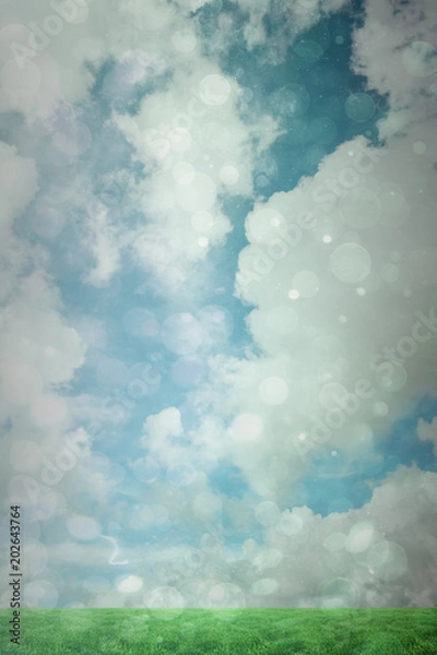 Fototapeta Grass against blue abstract light spot design