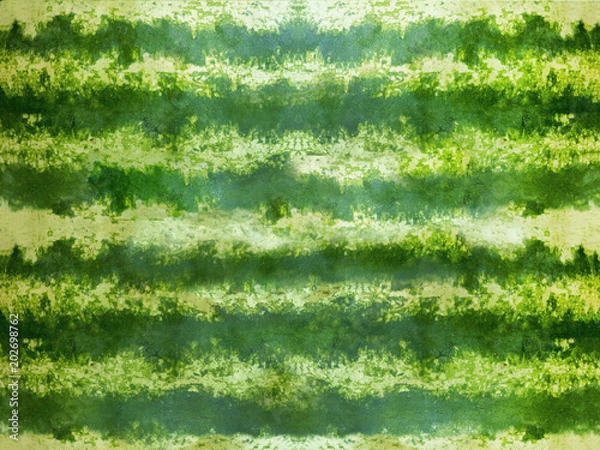 Obraz Striped crust of watermelon, background, texture