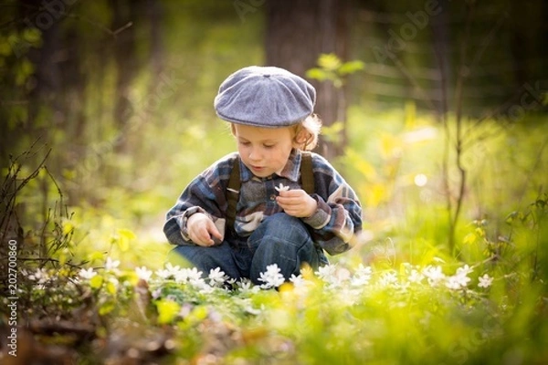Obraz Small boy playing in spring forest