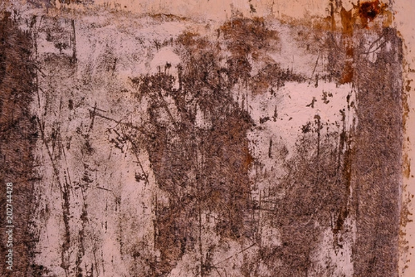 Fototapeta 錆