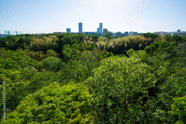 Fototapeta 千里中央　都市風景