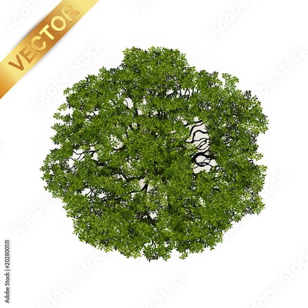 Obraz Trees top view for landscape vector illustration.