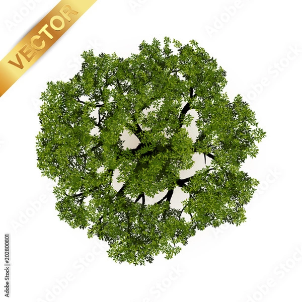 Obraz Trees top view for landscape vector illustration.
