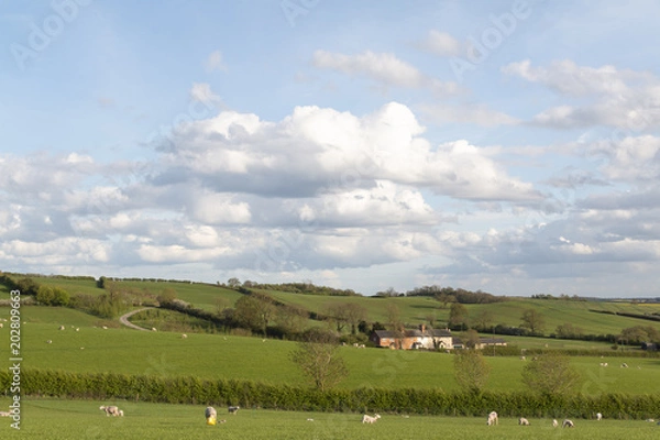 Obraz Farmland & Cottages