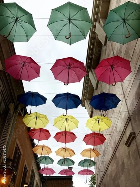 Obraz Bunte Regenschirme