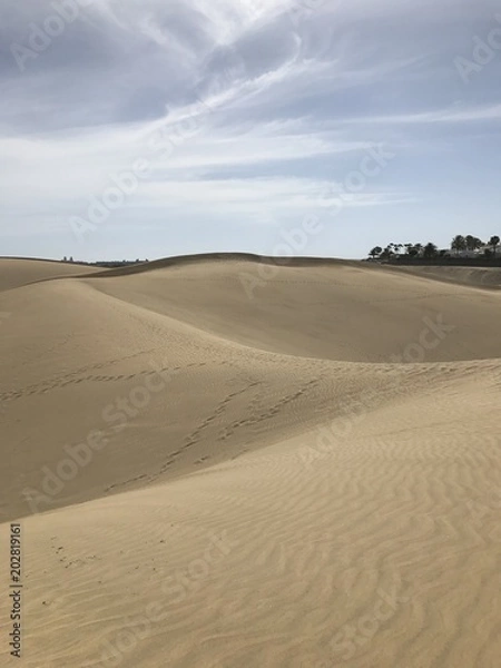 Obraz Gran Canaria Dünen