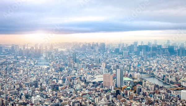 Fototapeta High angle view of Tokyo cityscape under moody sky