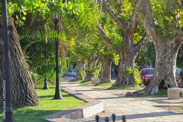 Obraz Tarde de verano en el parque