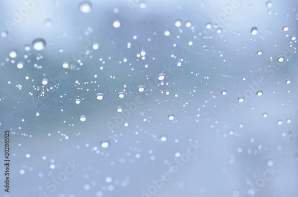 Fototapeta 雨の日　雨傘





