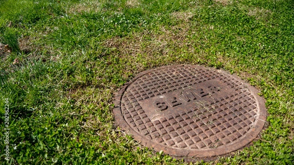 Fototapeta sewer grass