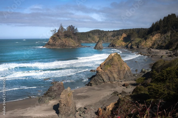 Obraz Trinidad Coast