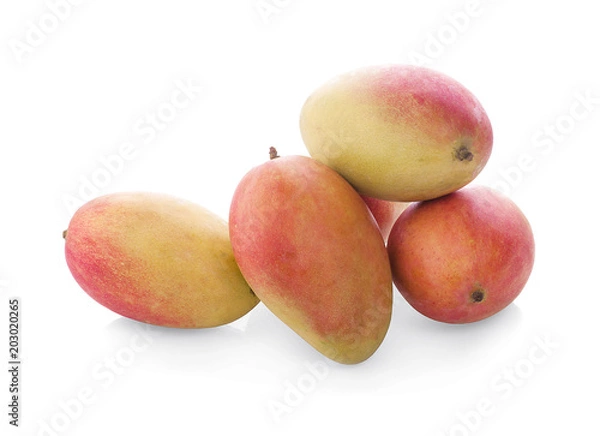 Obraz Mango on white background