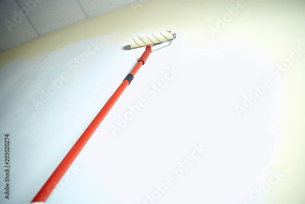 Obraz pencil on white background