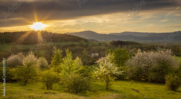 Fototapeta Landscape in sunset