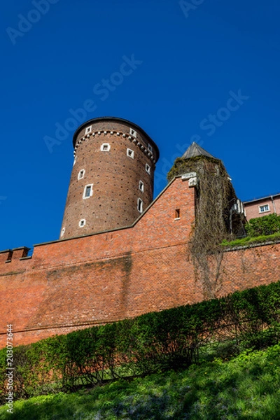 Fototapeta Le château du Wawel à Cracovie