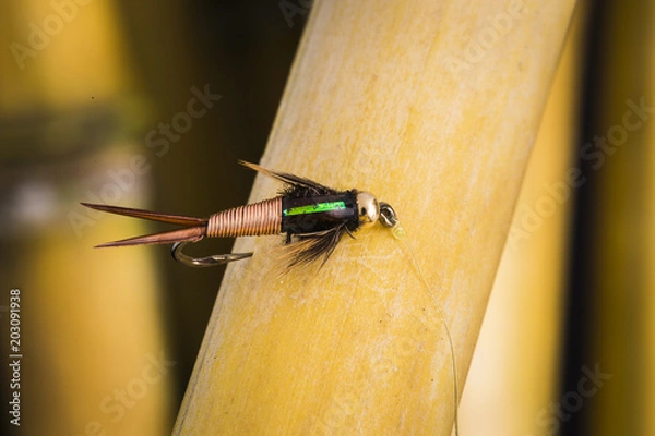 Obraz Copper john fly on bamboo