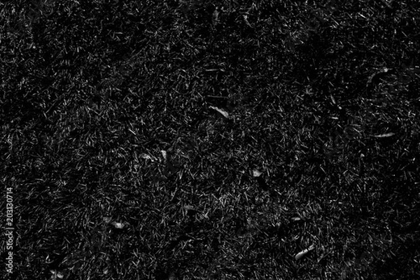 Fototapeta Texture of black burned grass. Black grass after fire on a field.