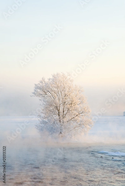 Obraz The foggy river