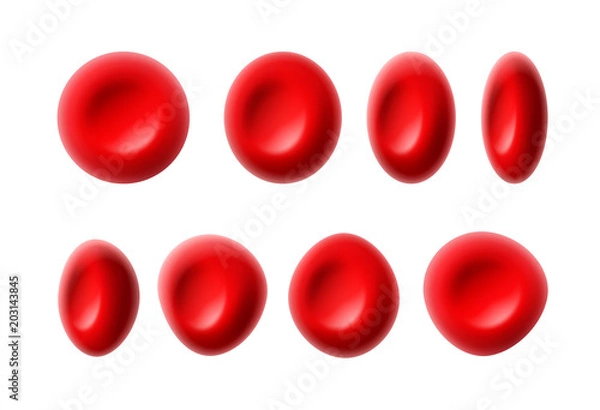 Obraz Red blood cells