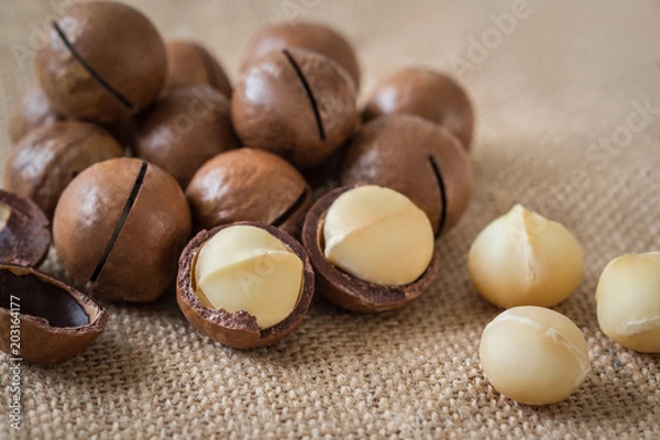 Obraz Macadamia nuts on sackcloth