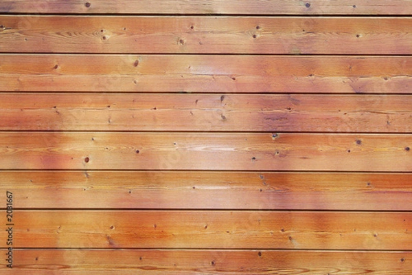 Obraz texture bois 02